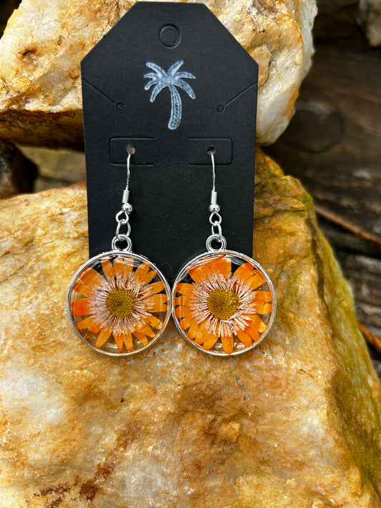 Resin earrings